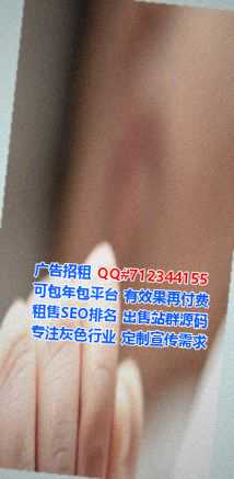 西陵借腹生子储能公司